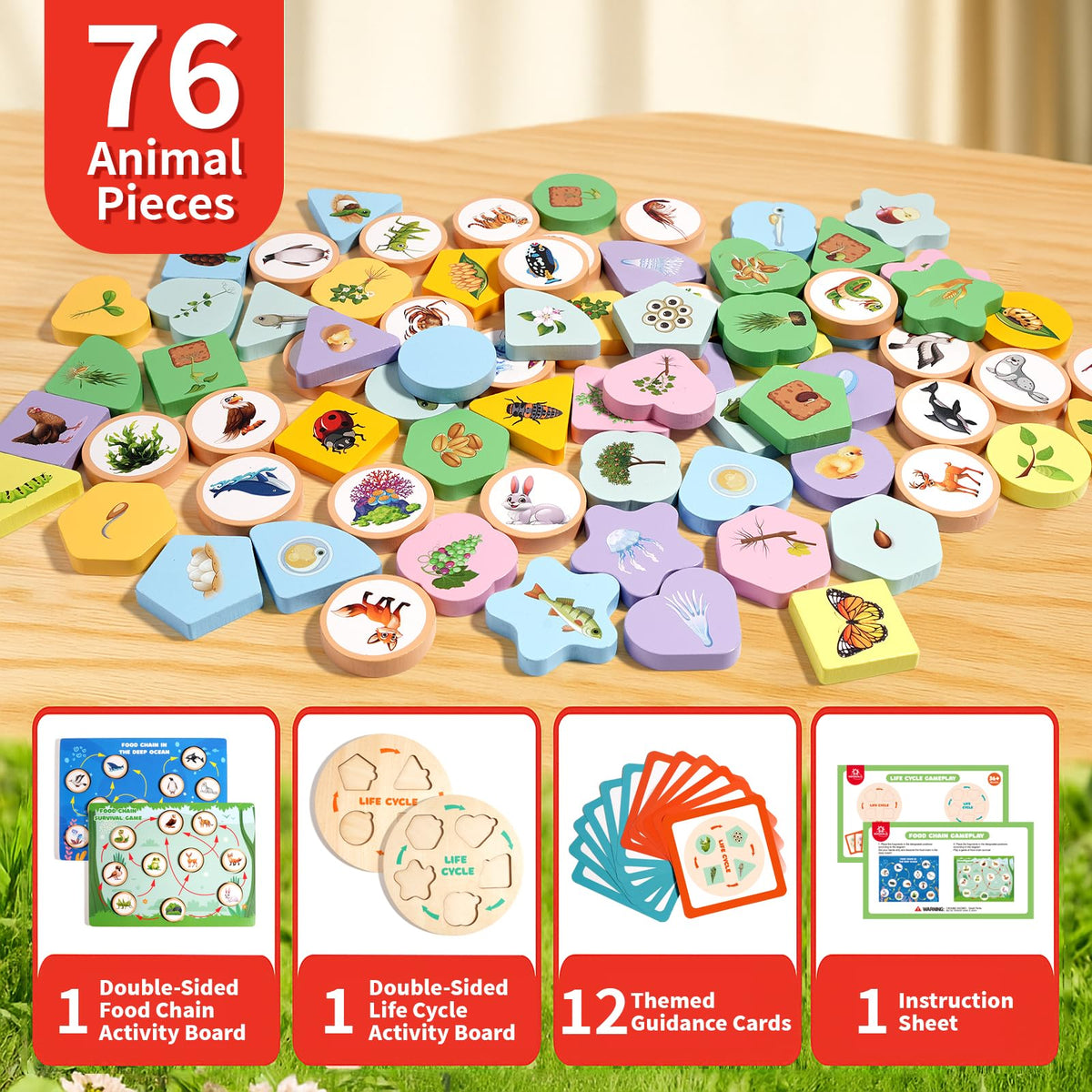 INIFEIDALA life cycle cards for color and shape recognition