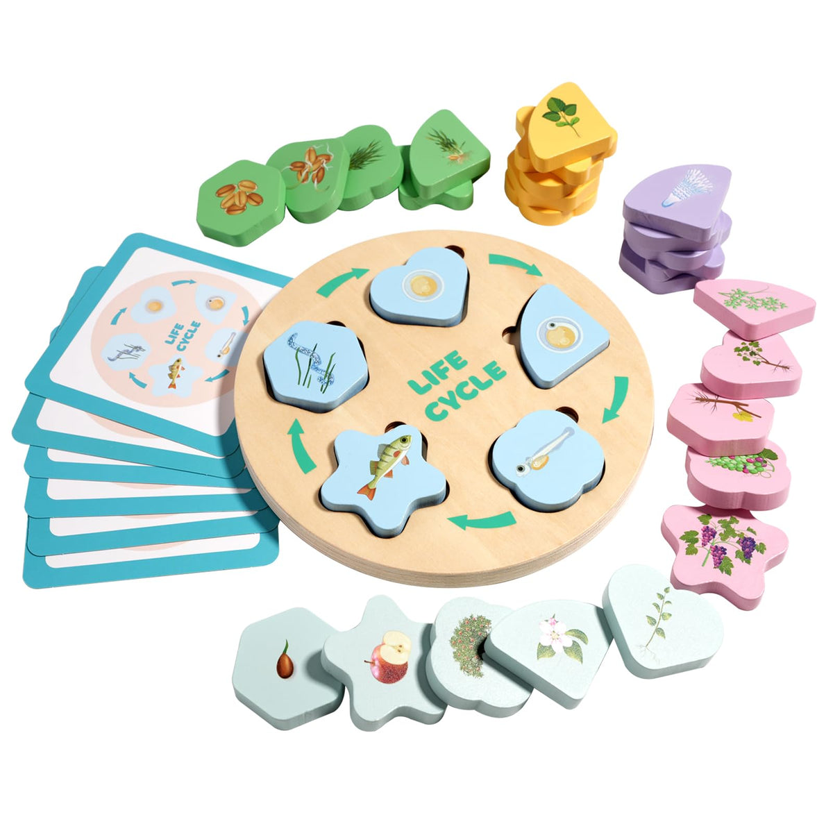 INIFEIDALA parent-child learning cards for guided exploration