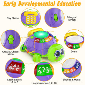 INNOSKY lullabies and animal sounds toy enhances sensory play