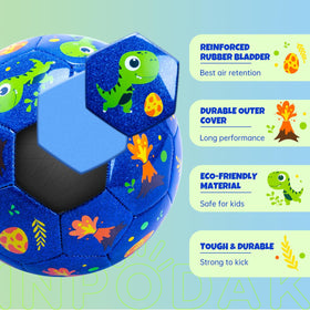 INPODAK Ball set includes pump and mesh bag for use