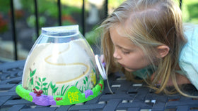 Insect Lore Ant Hill assembly guide image illustrates simple home setup.