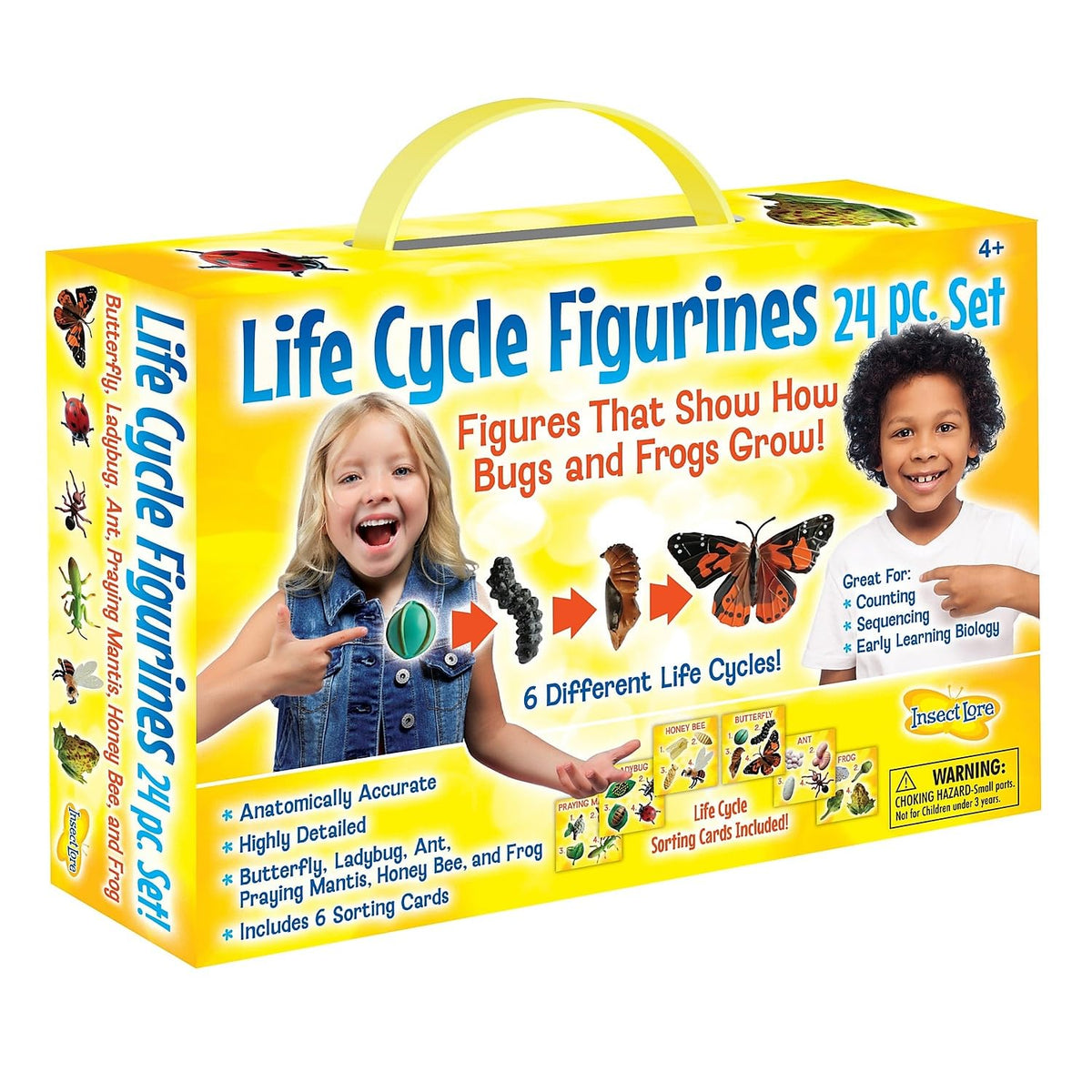 Insect Lore butterfly egg figurine for hands-on life cycle learning