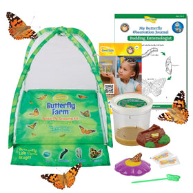 Insect Lore Butterfly Farm dome habitat for safe, interactive at-home observation