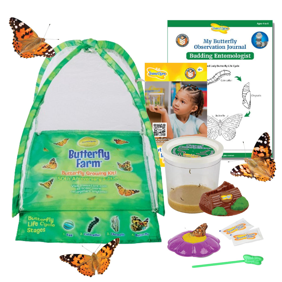 Insect Lore Butterfly Farm dome habitat for safe, interactive at-home observation