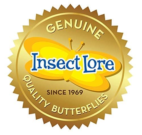 Insect Lore Butterfly Garden caterpillar setup suitable for classroom or home