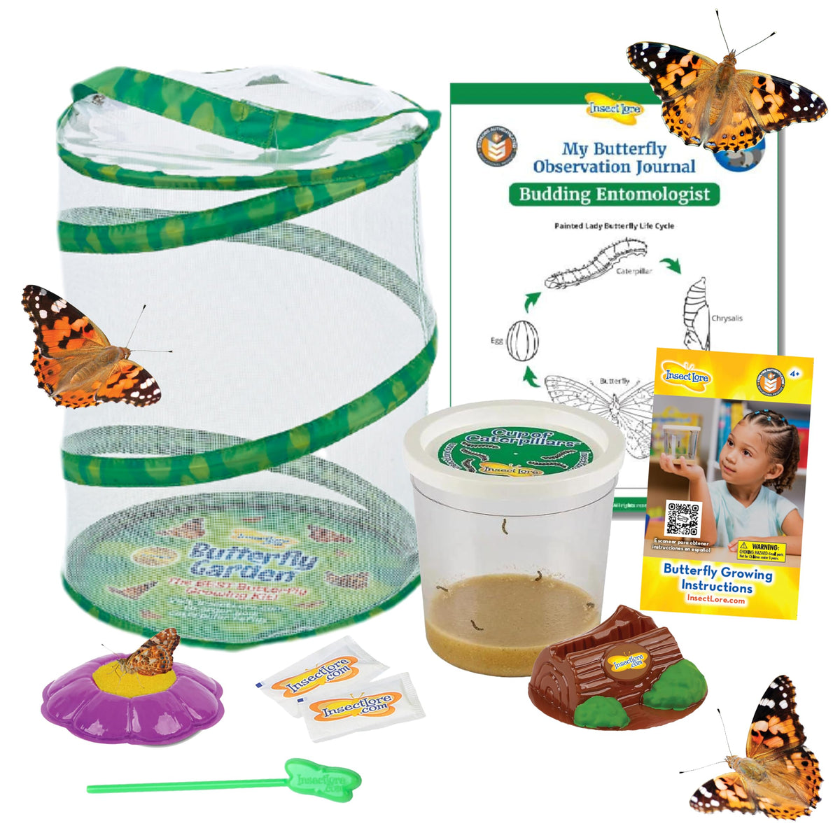 Insect Lore Butterfly Garden with caterpillars in a safe habitat for hands-on science.