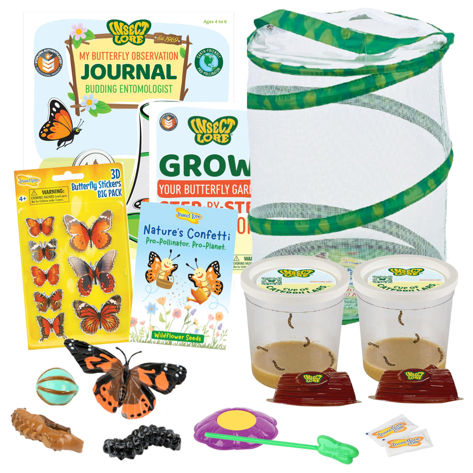 Insect Lore Butterfly Garden Kit with live caterpillars for hands-on learning