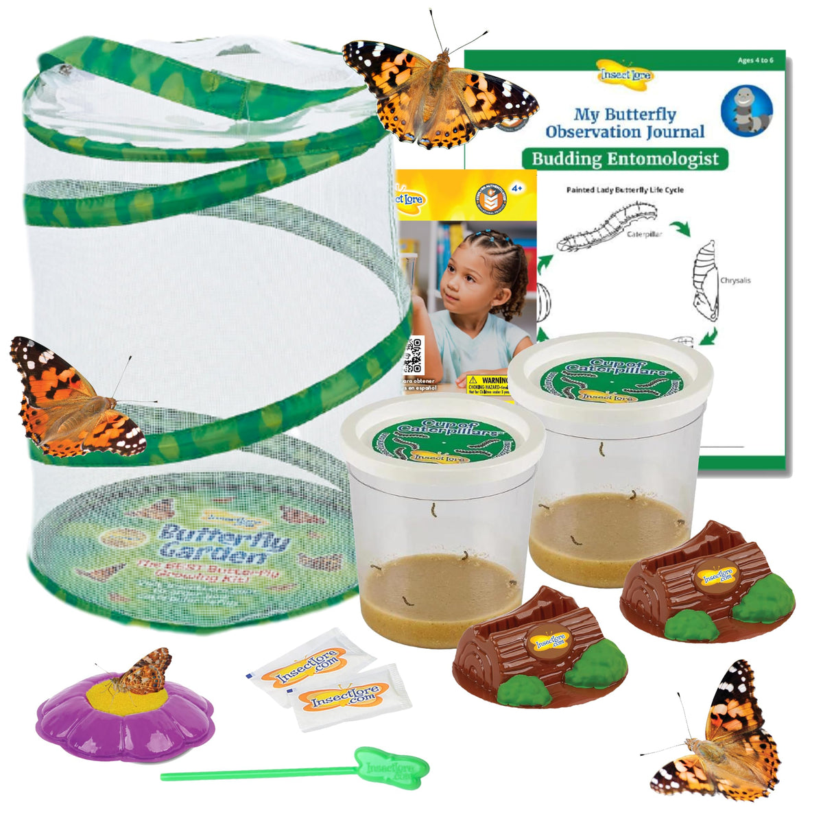 Insect Lore Butterfly Garden kit setup fosters hands on learning