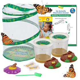 Insect Lore Butterfly Garden kit setup fosters hands on learning