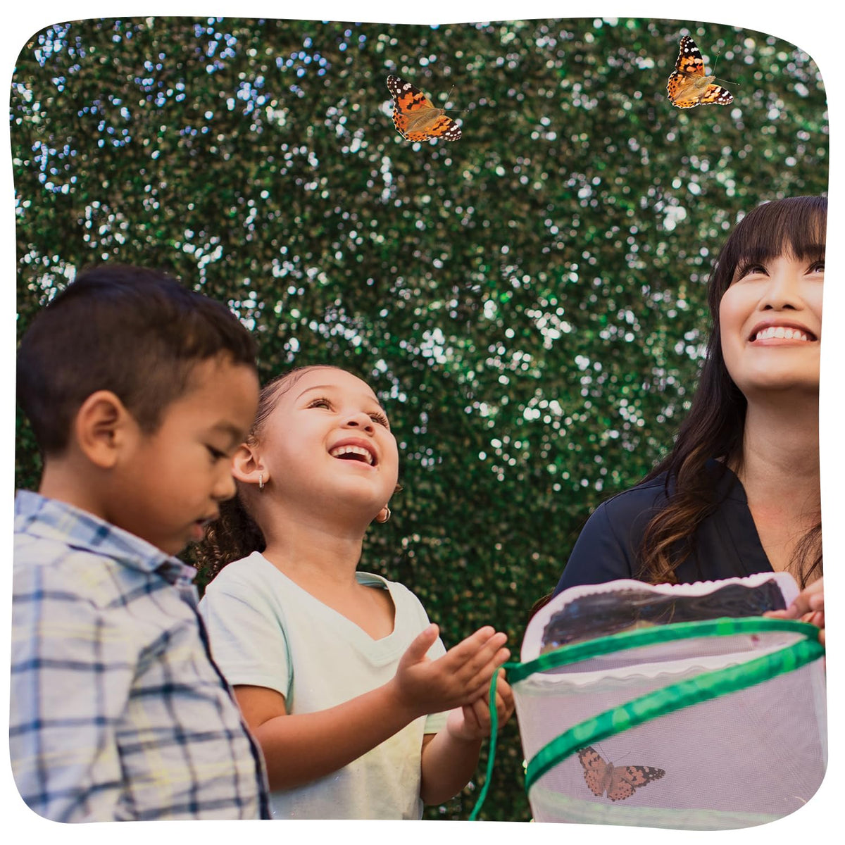 Insect Lore Butterfly Garden Kit STEM activity fosters curiosity through metamorphosis study