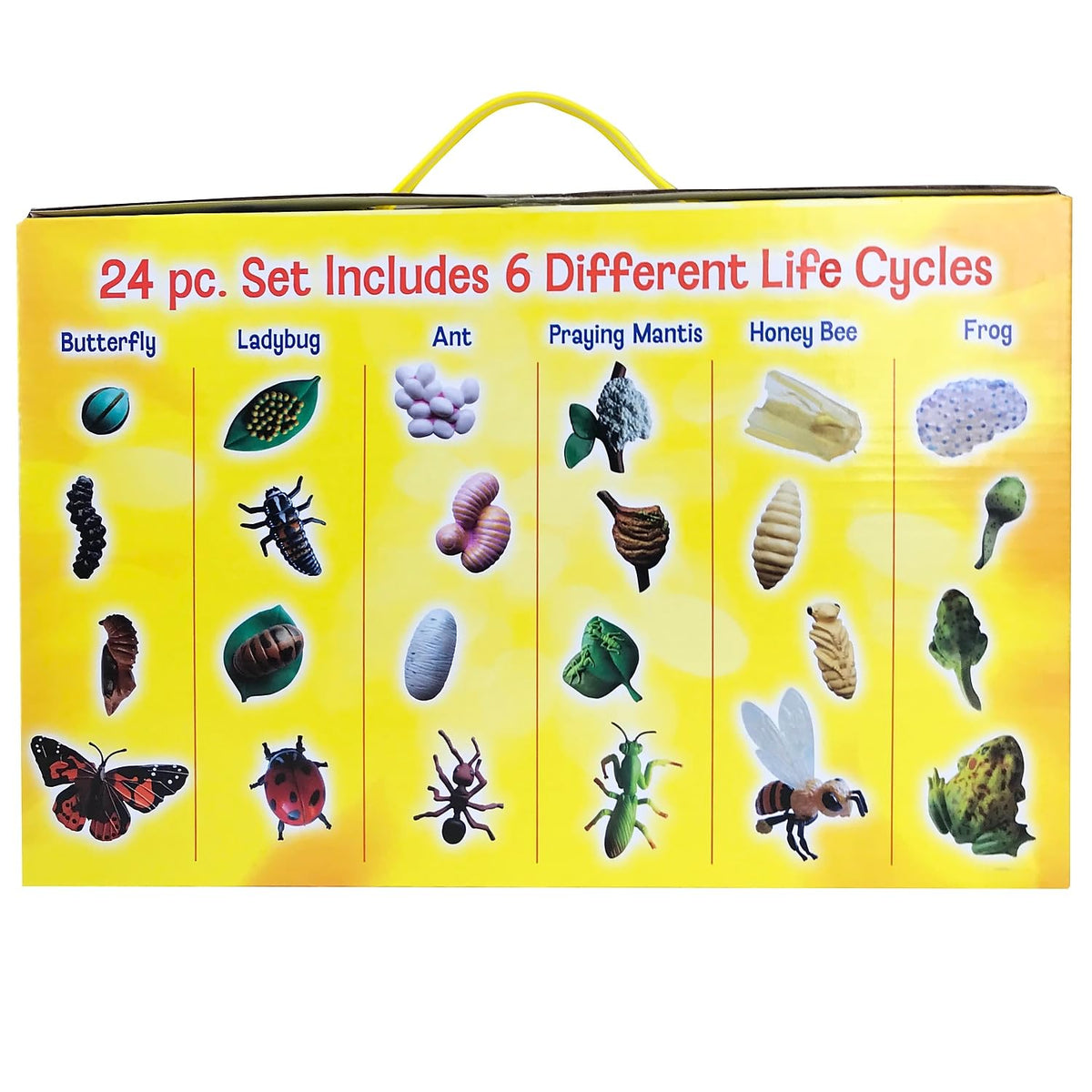 Insect Lore butterfly larva figurine for visual stage sequencing