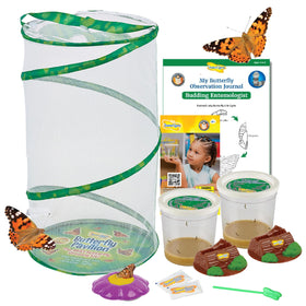 Insect Lore Butterfly Pavilion setup for home observation of caterpillars and butterflies.