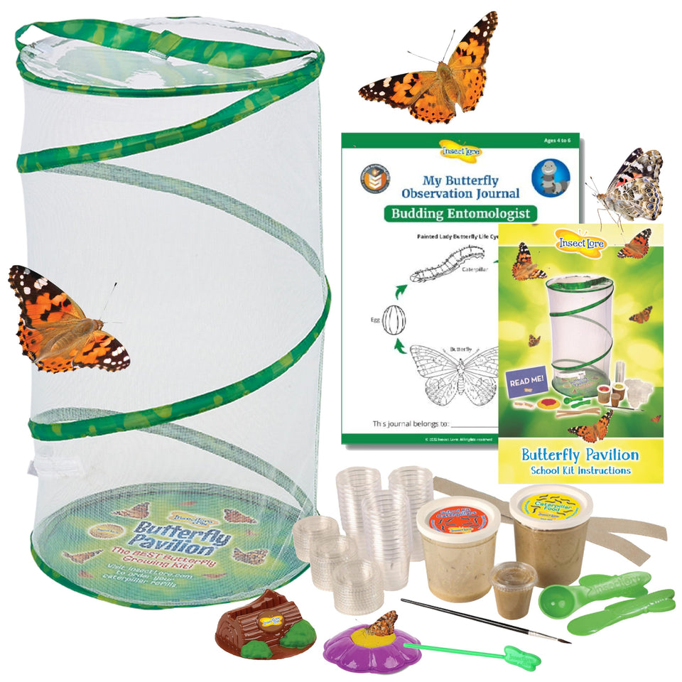 Insect Lore Butterfly Pavilion setup showing classroom life science setup for students