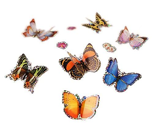 Insect Lore feeding tools for careful caterpillar care