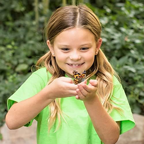 Insect Lore caterpillar food kit supports healthy caterpillar growth and development.