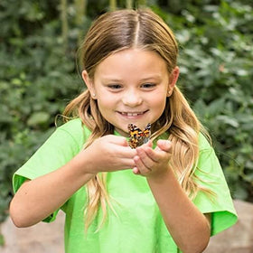 Insect Lore caterpillar food kit supports healthy caterpillar growth and development.