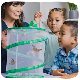 Insect Lore Chrys-a-lid holder secures caterpillars during transfer and study.