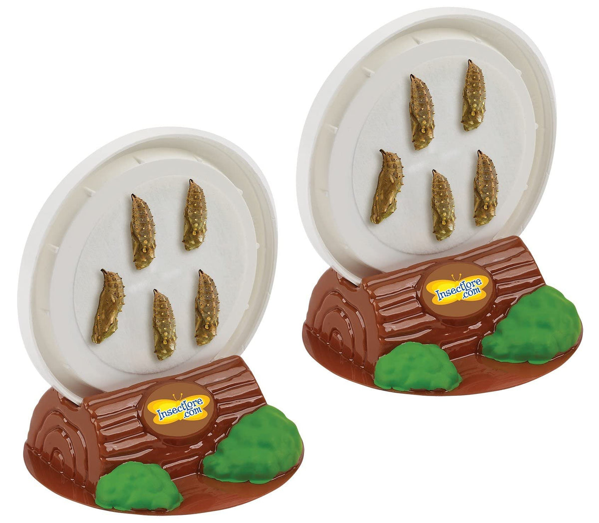 Chrysalis Logs from Insect Lore enabling safe transmission of metamorphosis.