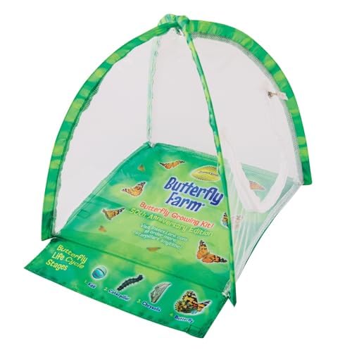 Insect Lore flower-shaped butterfly feeder supports nectar access for Painted Lady butterflies.