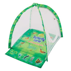 Insect Lore flower-shaped butterfly feeder supports nectar access for Painted Lady butterflies.