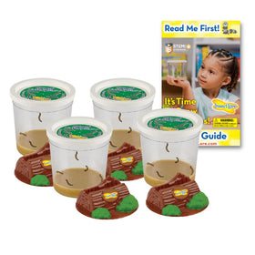 Insect Lore Funtastic four cups caterpillars with food and logs, ideal for at-home STEM learning.