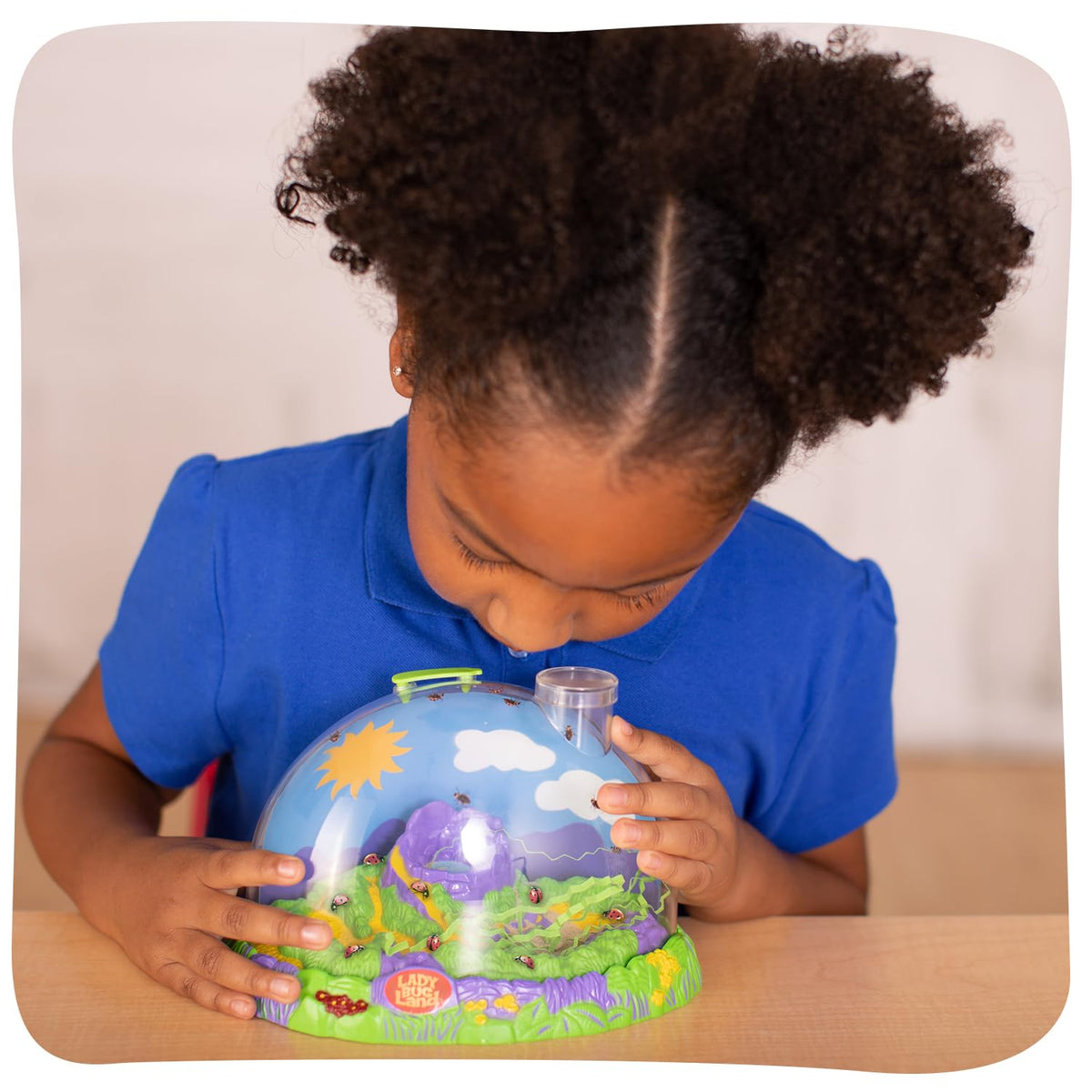 Insect Lore Ladybug Land habitat setup for interactive science at home or in class.
