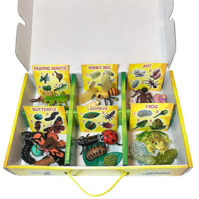 Insect Lore ladybug larva figurine for classroom exploration