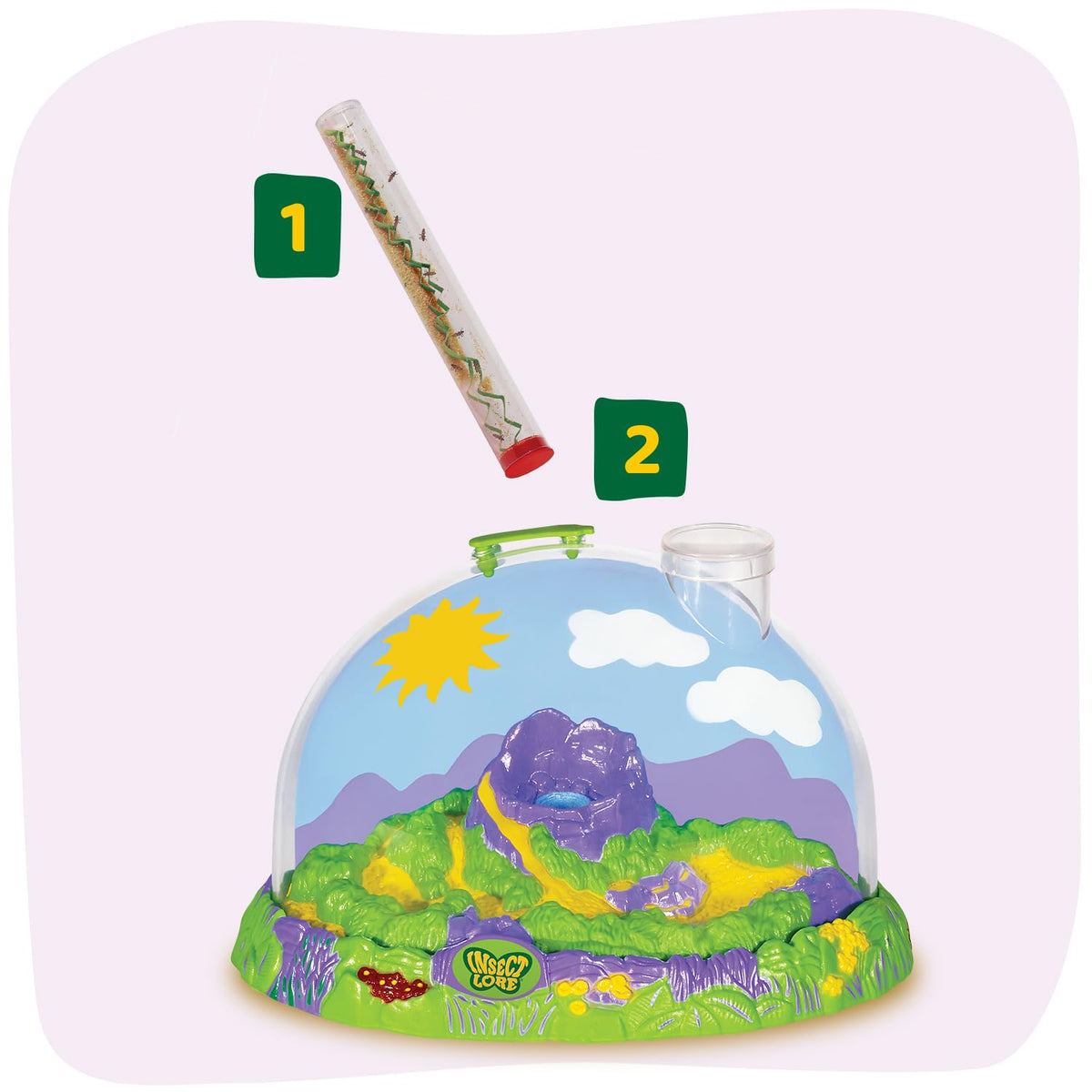 Insect Lore Ladybug life cycle captures metamorphosis from larvae to adults.