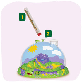 Insect Lore Ladybug life cycle captures metamorphosis from larvae to adults.