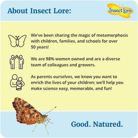 Insect Lore nutritious caterpillar food: fuel for healthy growth during metamorphosis