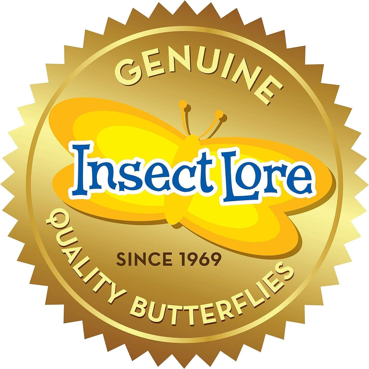 Insect Lore read me insert: practical care tips for a smooth caterpillar experience
