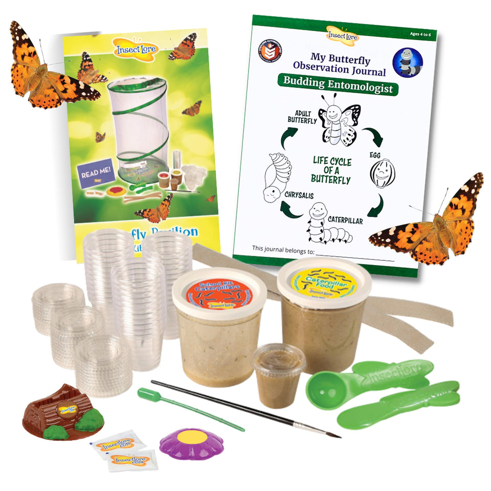 Insect Lore School Kit Refill caterpillars in cups ready for hands-on learning.