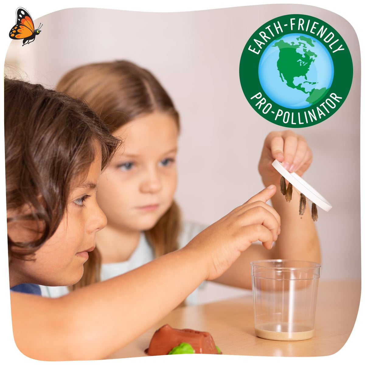 Sugar packets included for making butterfly nectar during observation.