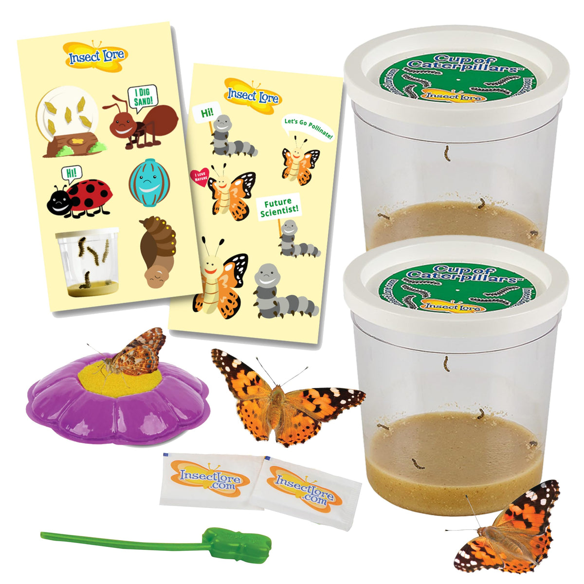 Insect Lore Two Cups of Caterpillars Deluxe: cups with live caterpillars for hands-on observation.