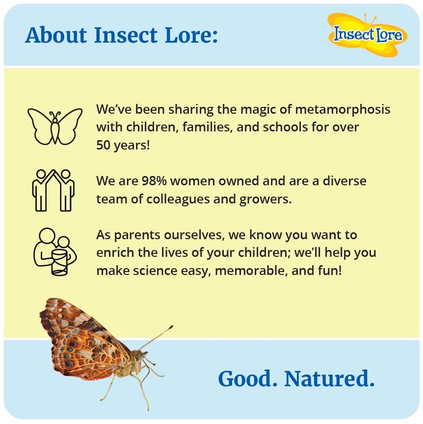 Insect Lore Two Cups of Caterpillars Deluxe: butterflies emerging as a memorable classroom moment.