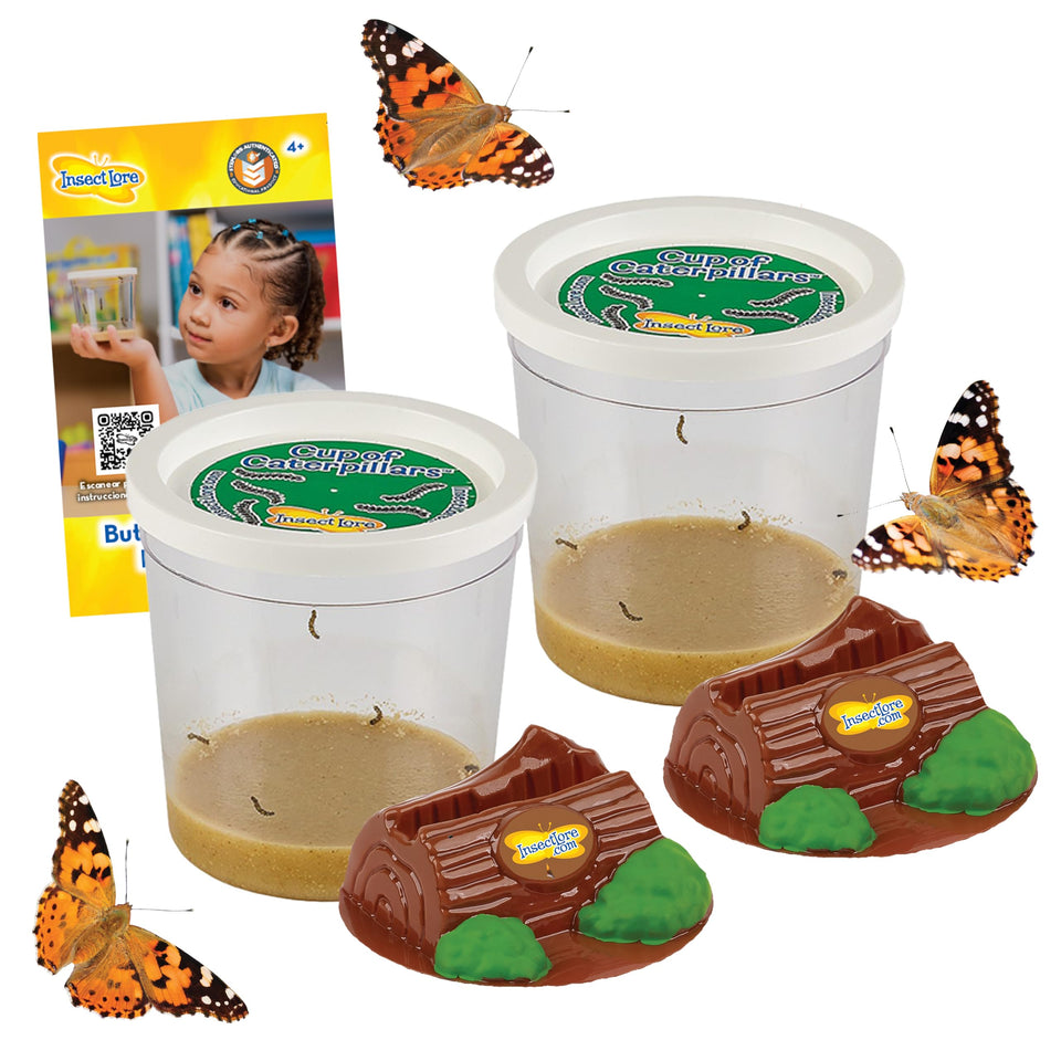 Insect Lore two cups caterpillars: hands-on learning with 10 caterpillars for a kid-friendly project