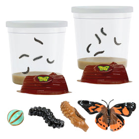 Insect Lore two cups live caterpillars for hands-on observation.