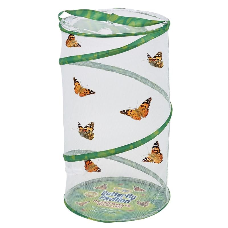 Insect Lore two-ounce mini cups with lids support precise feeding.