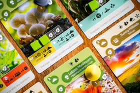 Inside Up Games Earth Abundance expansion packaging reflects sustainability and clear setup.