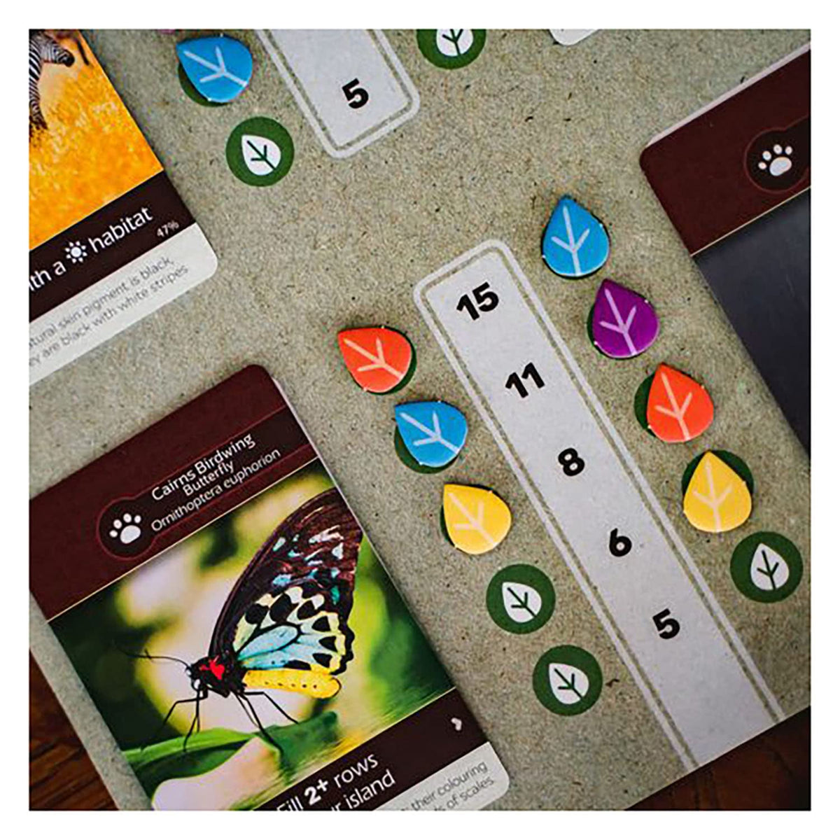 Inside Up Games Earth plant arrangement focusing on growth and resource flow