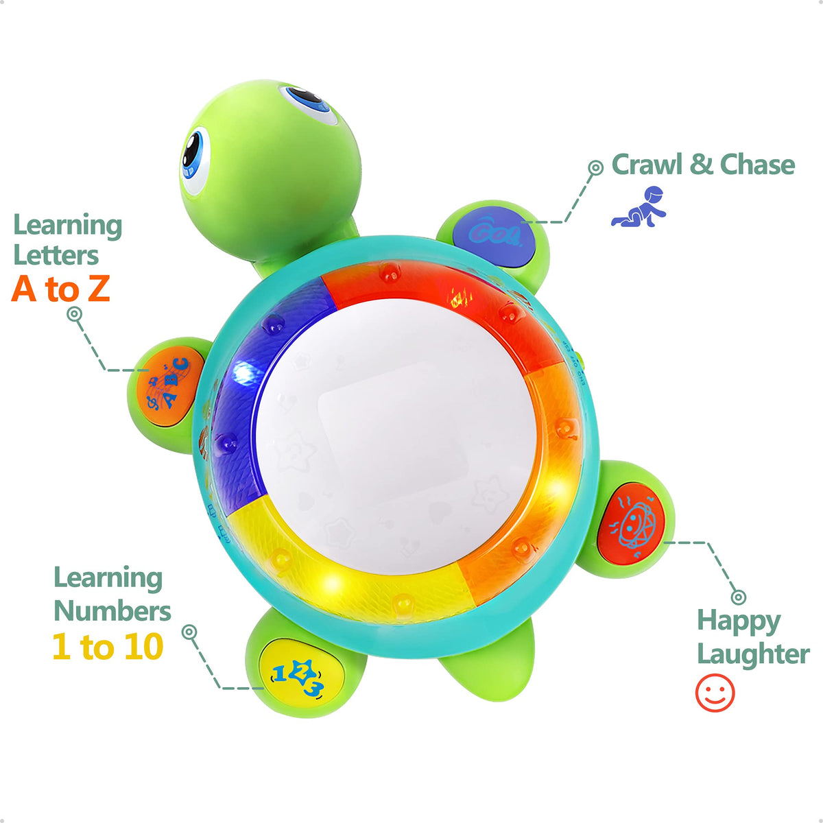 iPlay iLearn turtle buttons closeup highlighting learning modes
