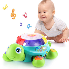 iPlay iLearn baby musical turtle toy front view for engaging play