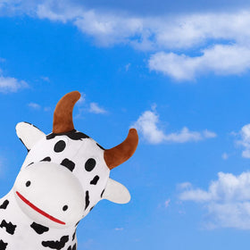 Versatile use of the iPlay iLearn cow hopper indoors and outdoors.