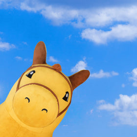 iPlay iLearn hopping horse gift-ready packaging for birthdays.
