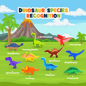 IPOURUP Montessori wooden dino blocks; natural material supports tactile exploration.