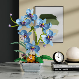itshWOee Blue Orchid Bonsai set includes clear instructions for easy, rewarding assembly