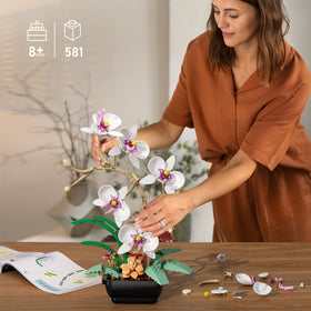 itshWOee orchid bonsai assembly instructions guiding step by step building