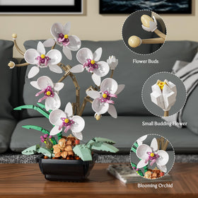 itshWOee orchid flowers detail highlights realistic petals and textures