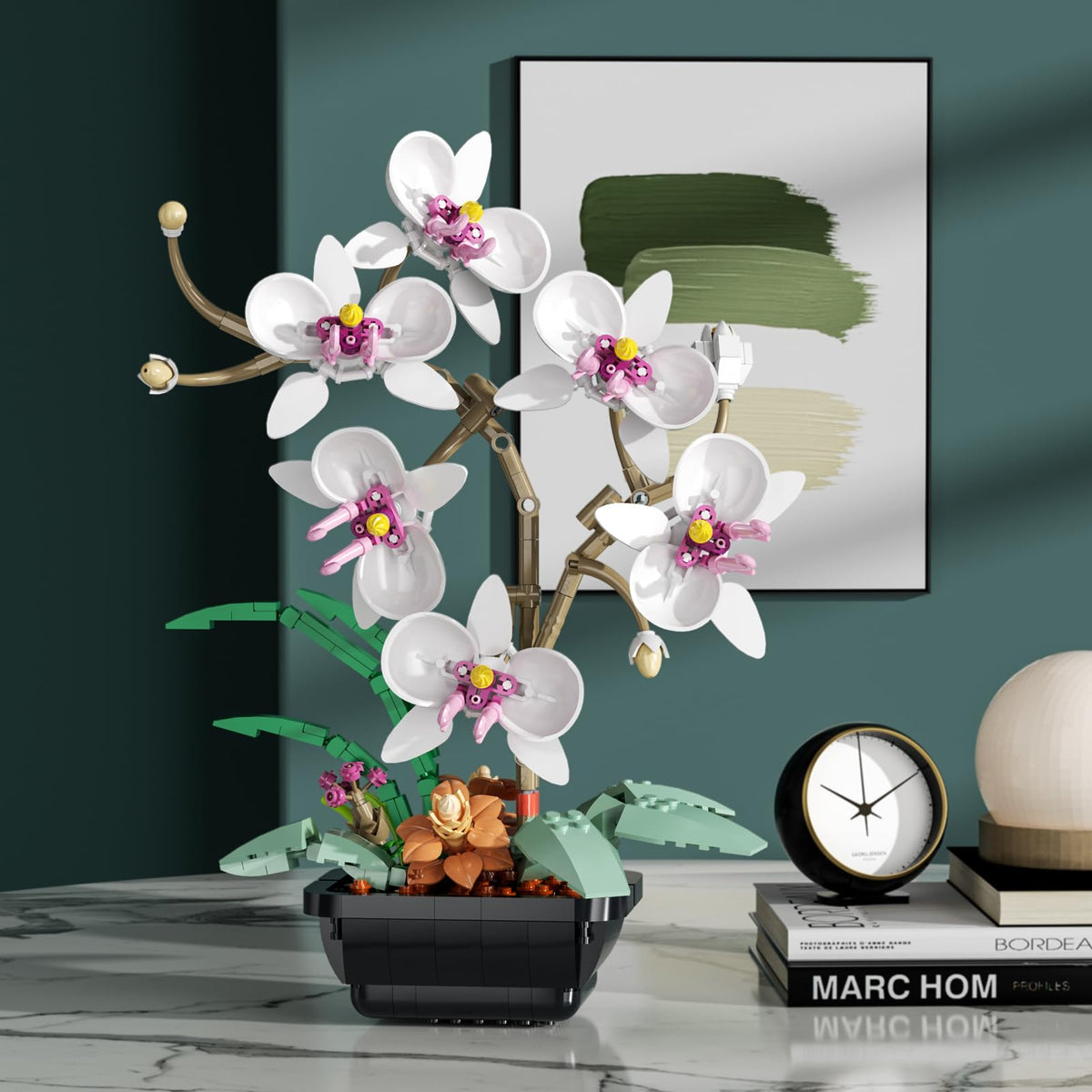 itshWOee orchid gift pack ideal for festive gifting