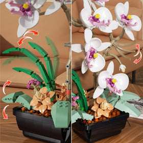 itshWOee orchid roots and leaves close up with lifelike structure